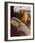 Spice Stall Near Qzadria Square, Marrakech, Morocco, North Africa, Africa-Ethel Davies-Framed Photographic Print