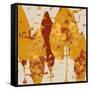 Spice Sunlit Marsh I-Lanie Loreth-Framed Stretched Canvas