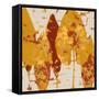 Spice Sunlit Marsh I-Lanie Loreth-Framed Stretched Canvas