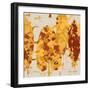 Spice Sunlit Marsh II-Lanie Loreth-Framed Premium Giclee Print