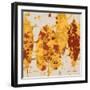 Spice Sunlit Marsh II-Lanie Loreth-Framed Art Print