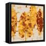Spice Sunlit Marsh II-Lanie Loreth-Framed Stretched Canvas