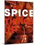 Spice Things Up-Dave Bartruff-Mounted Art Print