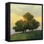 Spice Tree-Julia Purinton-Framed Stretched Canvas