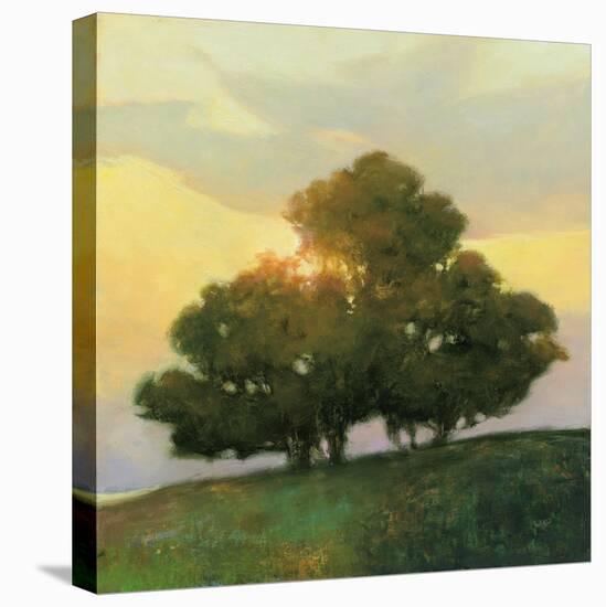 Spice Tree-Julia Purinton-Stretched Canvas