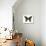 Spicebush Swallowtail (Papilio Troilus), Insects-Encyclopaedia Britannica-Stretched Canvas displayed on a wall