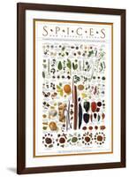 Spices and Culinary Herbs-null-Framed Art Print