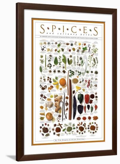 Spices and Culinary Herbs-null-Framed Art Print