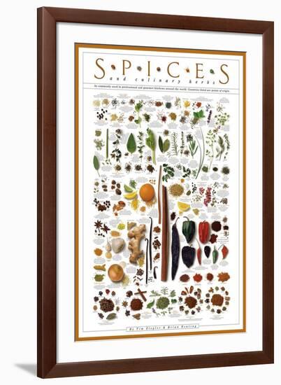 Spices and Culinary Herbs-null-Framed Art Print