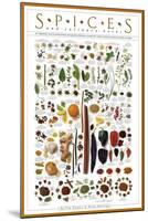 Spices and Culinary Herbs-null-Mounted Art Print