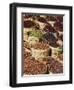 Spices and Dates for Sale in the Market or Souk of Aswan, Egypt, North Africa, Africa-Tuul-Framed Photographic Print