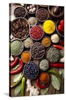 Spices and Herbs-JanPietruszka-Stretched Canvas