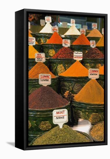 Spices Collage-null-Framed Stretched Canvas