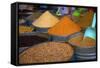 Spices, Fez, Morocco, North Africa, Africa-Neil Farrin-Framed Stretched Canvas