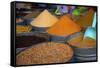 Spices, Fez, Morocco, North Africa, Africa-Neil Farrin-Framed Stretched Canvas