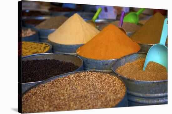 Spices, Fez, Morocco, North Africa, Africa-Neil Farrin-Stretched Canvas