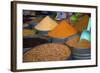 Spices, Fez, Morocco, North Africa, Africa-Neil Farrin-Framed Photographic Print