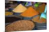 Spices, Fez, Morocco, North Africa, Africa-Neil Farrin-Mounted Photographic Print