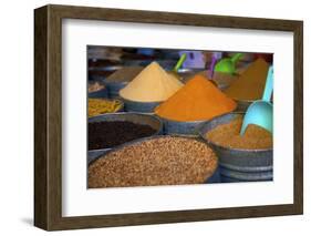 Spices, Fez, Morocco, North Africa, Africa-Neil Farrin-Framed Photographic Print