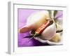 Spices for Appetisers (Ginger Root, Chilli, Garlic)-Eising Studio - Food Photo and Video-Framed Photographic Print