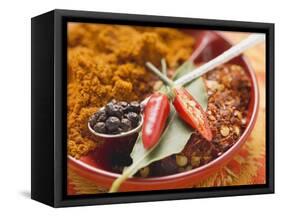 Spices for Meat Dishes (Chilli and Bay Leaf)-Eising Studio - Food Photo and Video-Framed Stretched Canvas