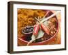 Spices for Meat Dishes (Chilli and Bay Leaf)-Eising Studio - Food Photo and Video-Framed Photographic Print