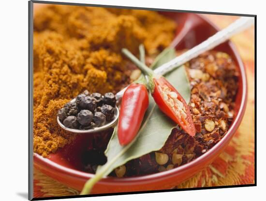 Spices for Meat Dishes (Chilli and Bay Leaf)-Eising Studio - Food Photo and Video-Mounted Photographic Print