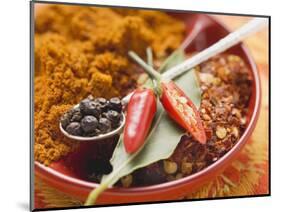 Spices for Meat Dishes (Chilli and Bay Leaf)-Eising Studio - Food Photo and Video-Mounted Photographic Print