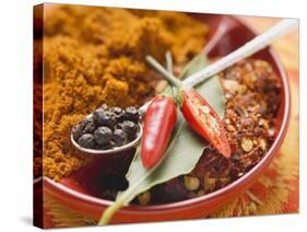 Spices for Meat Dishes (Chilli and Bay Leaf)-Eising Studio - Food Photo and Video-Stretched Canvas
