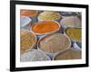 Spices For Sale, Addis Ababa, Ethiopia, Africa-Michael Runkel-Framed Photographic Print