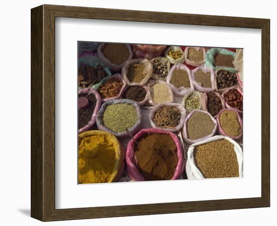 Spices for Sale, Margao Market, Goa, India-Short Michael-Framed Photographic Print
