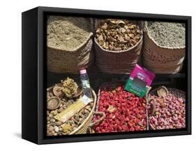 Spices for Sale, Souk in the Medina, Marrakech (Marrakesh), Morocco, North Africa-Nico Tondini-Framed Stretched Canvas