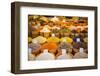 Spices in the Bazaar of Sulaymaniyah. Kurdistan, Iraq-Michael Runkel-Framed Photographic Print