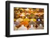 Spices in the Bazaar of Sulaymaniyah. Kurdistan, Iraq-Michael Runkel-Framed Photographic Print