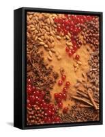 Spices, Nuts, Almonds and Cherries Forming a Surface-Luzia Ellert-Framed Stretched Canvas