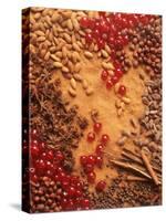 Spices, Nuts, Almonds and Cherries Forming a Surface-Luzia Ellert-Stretched Canvas