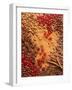 Spices, Nuts, Almonds and Cherries Forming a Surface-Luzia Ellert-Framed Photographic Print