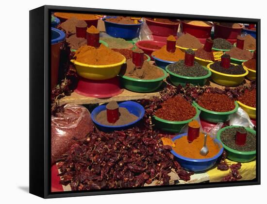 Spices on Sale in Market, Tunisia, North Africa, Africa-Lightfoot Jeremy-Framed Stretched Canvas