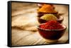 Spices: Saffron, Turmeric, Curry-Subbotina Anna-Framed Stretched Canvas
