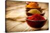 Spices: Saffron, Turmeric, Curry-Subbotina Anna-Stretched Canvas