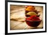 Spices: Saffron, Turmeric, Curry-Subbotina Anna-Framed Photographic Print