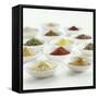 Spices, Spice Mixtures and Marinades in Small Bowls-Jana Liebenstein-Framed Stretched Canvas