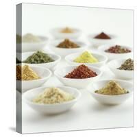 Spices, Spice Mixtures and Marinades in Small Bowls-Jana Liebenstein-Stretched Canvas