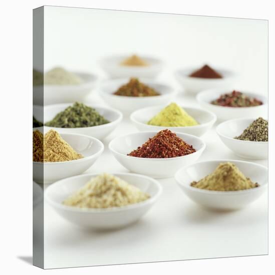 Spices, Spice Mixtures and Marinades in Small Bowls-Jana Liebenstein-Stretched Canvas