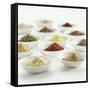 Spices, Spice Mixtures and Marinades in Small Bowls-Jana Liebenstein-Framed Stretched Canvas