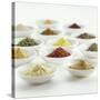 Spices, Spice Mixtures and Marinades in Small Bowls-Jana Liebenstein-Stretched Canvas