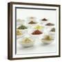 Spices, Spice Mixtures and Marinades in Small Bowls-Jana Liebenstein-Framed Photographic Print