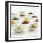 Spices, Spice Mixtures and Marinades in Small Bowls-Jana Liebenstein-Framed Photographic Print