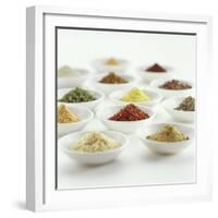 Spices, Spice Mixtures and Marinades in Small Bowls-Jana Liebenstein-Framed Photographic Print