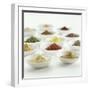 Spices, Spice Mixtures and Marinades in Small Bowls-Jana Liebenstein-Framed Photographic Print